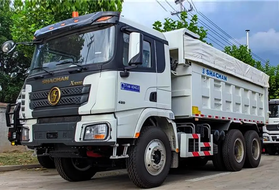 Shacman 10 Wheeler Dump Truck (2)