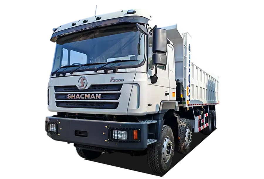 Shacman 12 Wheeler Dump Truck (1)