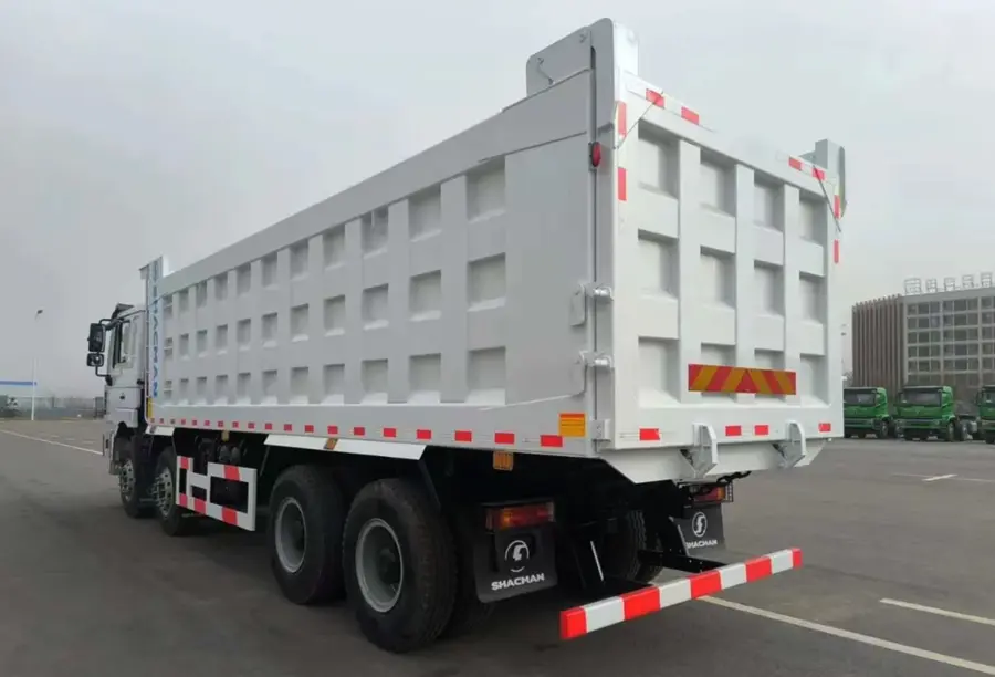 Shacman 12 Wheeler Dump Truck (5)