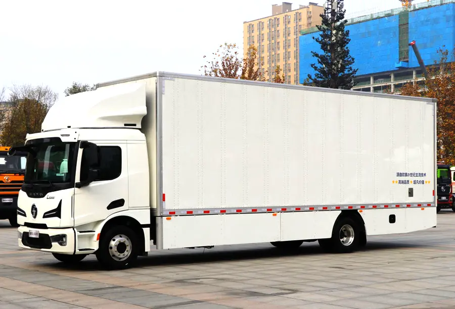 Shacman L6000 Electric Cargo Truck (5)