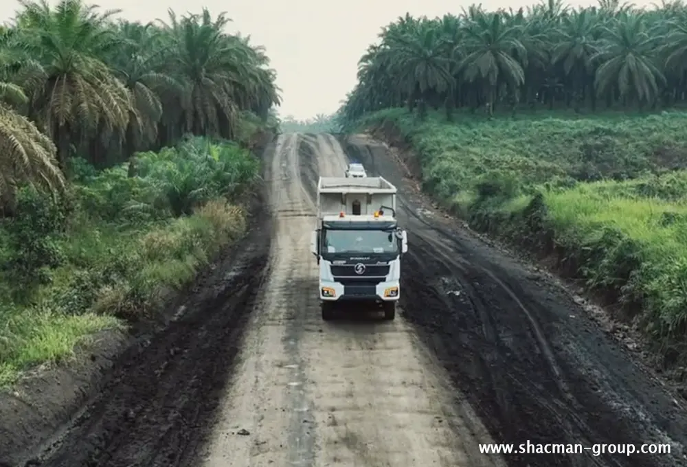 Shacman dump truck price 2026 - new Shacman tipper truck for sale